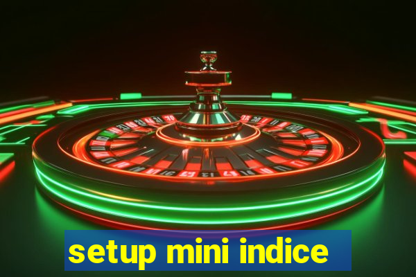 setup mini indice